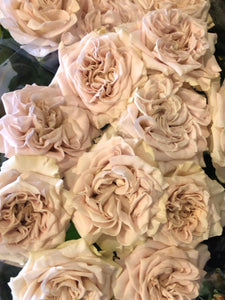 Red Roses
