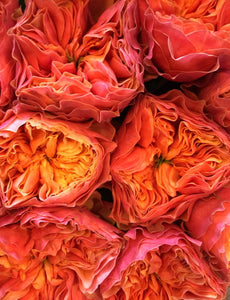 Red Roses