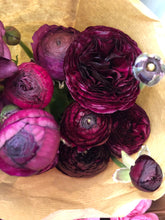 Load image into Gallery viewer, Fresh Cut Regular Ranunculus
