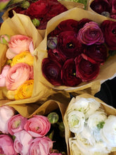 Load image into Gallery viewer, Fresh Cut Regular Ranunculus

