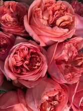 Load image into Gallery viewer, English Garden Roses
