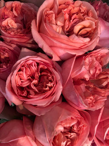 Red Roses