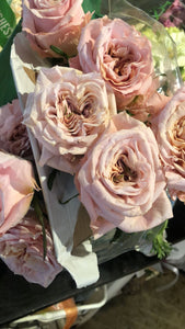 English Garden Roses