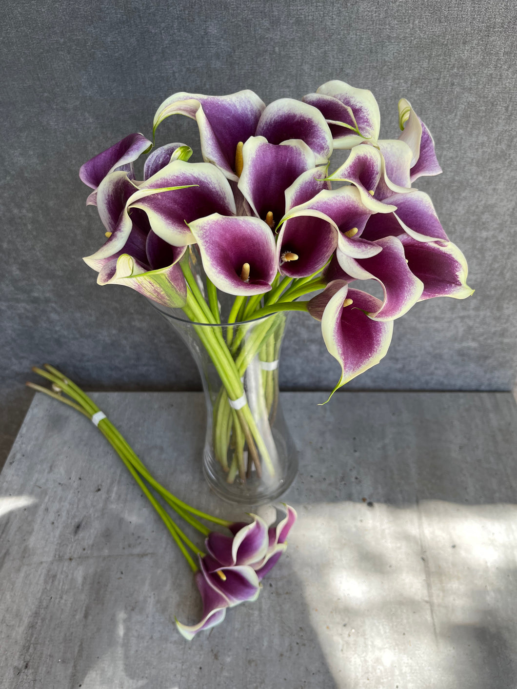 Fresh Cut Calla Lilies