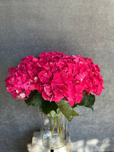 Load image into Gallery viewer, Fresh Cut Hydrangea
