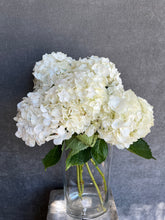 Load image into Gallery viewer, Fresh Cut Hydrangea
