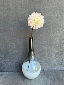 Fresh Cut Dahlias