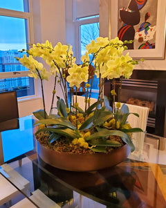 Bespoke Orchid Planter