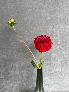 Fresh Cut Dahlias