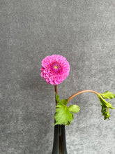 Load image into Gallery viewer, Fresh Cut Dahlias
