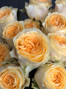 Red Roses