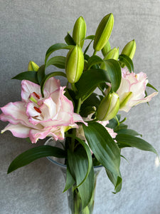 Fresh Cut Lilies