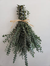 Load image into Gallery viewer, Fresh Eucalyptus Bunch
